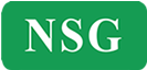 NSG Consultoria